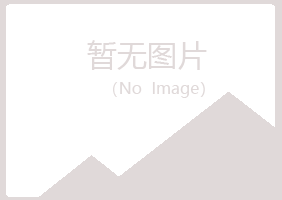 鲁山县海安冶炼有限公司